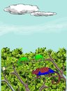 Cartoon: amazing spiderman (small) by kar2nist tagged spiderman animalkingdom forest camellion