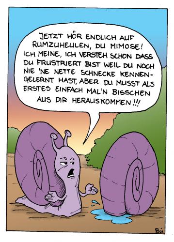 Fitch - Immer feucht. Fitch - Immer feucht.