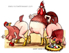 Cartoon: Chicken love (small) by Niessen tagged hahn,henne,hähnchen,eier,attraktion,liebe,leidenschaft