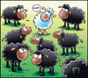 Cartoon: Black sheep (small) by Carayboo tagged black,sheep,lamb,mouton,noir,white,animal