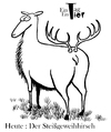 Cartoon: Der Steißgeweihhirsch (small) by Mistviech tagged tiere,natur,hirsch,geweih,arschgeweih,steißgeweih,tattoo,tribal