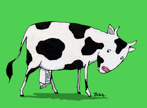 H-Milch-Kuh H-Milch-Kuh