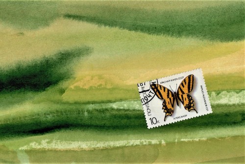 Cartoon: Artistic metamorphosis (medium) by Kestutis tagged metamorphosis,dada,postcard,butterfly,nature,biology,art,kunst,kestutis,lithuania