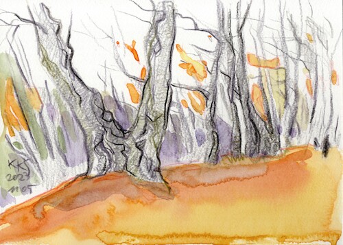 Cartoon: Autumn sketches (medium) by Kestutis tagged autumn,sketch,nature,kestutis,lithuania