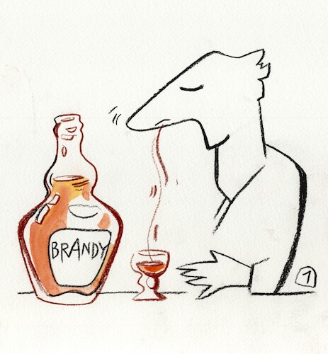 Cartoon: Brandy (medium) by Kestutis tagged brandy,kestutis,lithuania