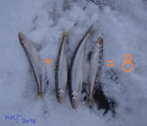 Cartoon: Fishers arithmetic (medium) by Kestutis tagged observagraphics,fisher,arithmetic,kestutis,lithuania