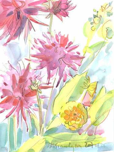 Cartoon: Flowers. Dahlias (medium) by Kestutis tagged summer,lithuania,siaulytis,kestutis,watercolor,blumen,sketch,dahlias,flowers,nature