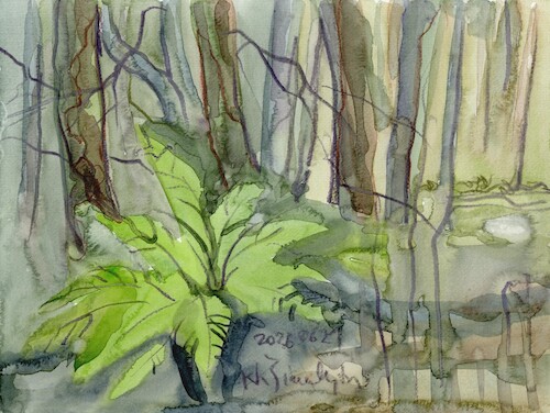 Cartoon: Forest stream fern (medium) by Kestutis tagged forest,stream,fern,summer,art,kunst,watercolor,kestutis,lithuania