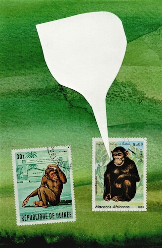 Cartoon: Funny memories (medium) by Kestutis tagged funny,memorie,dada,postcard,monkey,art,kunst,kestutis,lithuania