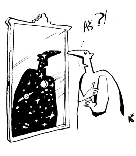 Cartoon: Ich?! (medium) by Kestutis tagged mirror,sluota,lithuania,siaulytis,kestutis,human,ich