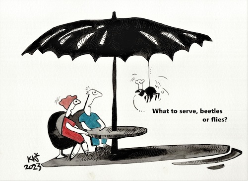 Cartoon: In the summer cafe (medium) by Kestutis tagged summer,spider,cafe,food,menu,kestutis,lithuania,beetle,fly,insect