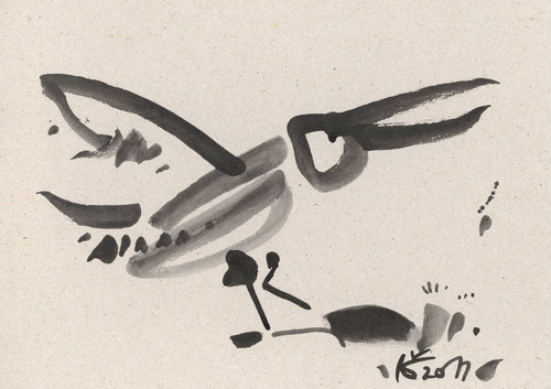 Cartoon: ROOK (medium) by Kestutis tagged rook,birds,kestutis,lithuania,vogel