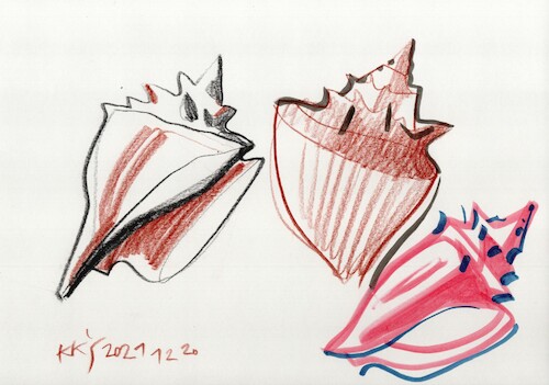 Cartoon: Seashells. Sketch Energy (medium) by Kestutis tagged seashells,sketch,energy,art,kunst,kestutis,lithuania