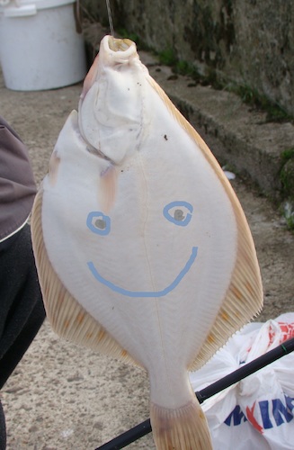 Cartoon: The second flounder side (medium) by Kestutis tagged dada,photo,kestutis,lithuania,sea,fish