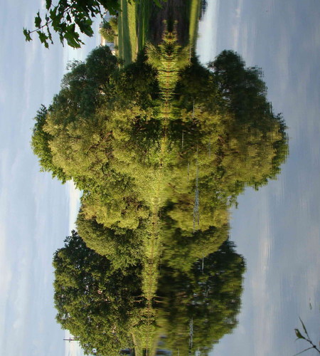 Cartoon: thinker and his thought (medium) by Kestutis tagged thinker,thought,reality,kestutis,lithuania,nature,summer,lake