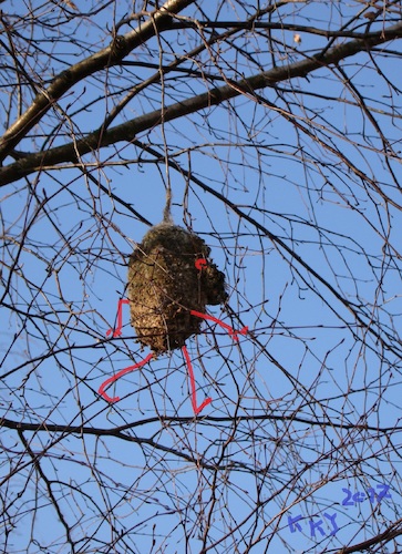 Cartoon: Walks in the branches (medium) by Kestutis tagged observagraphics,kestutis,lithuania,nature,bird,nest