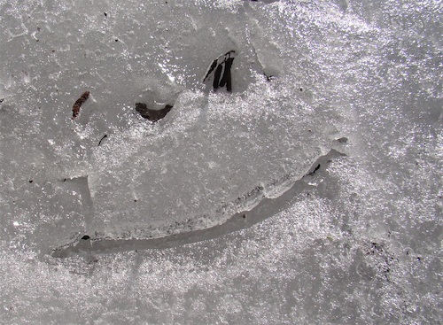 Cartoon: Ice inclusions (medium) by Kestutis tagged ice,inclusions,spring,observagraphics,winter,kestutis,lithuania