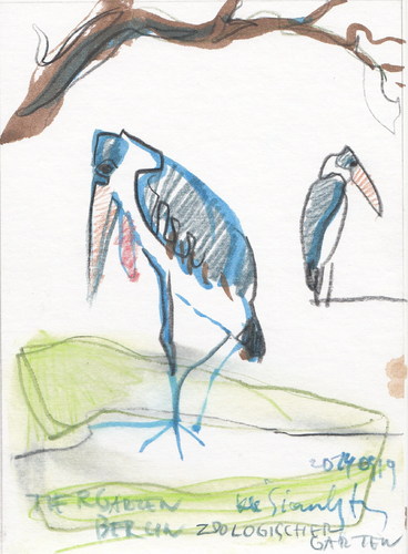Cartoon: Marabu (medium) by Kestutis tagged berlin,sketch,garten,baum,vogel,zoologischer,lithuania,kestutis,garden,tree,bird