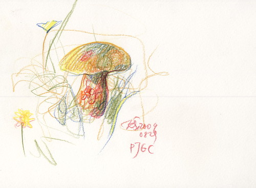 Cartoon: Mushrooms. Pilze. Grybai (medium) by Kestutis tagged kestutis,nature,sketch,mushrooms,pilze,siaulytis,lithuania,summer,autumn