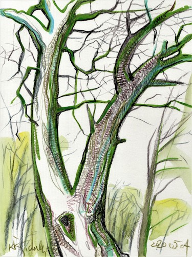 Cartoon: Spring trees (medium) by Kestutis tagged spring,trees,sketch,watercolor,kestutis,lithuania
