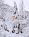 Cartoon: A real snowman (small) by Kestutis tagged real,snowman,observagraphics,winter,tree,kestutis,lithuania,snow