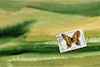 Cartoon: Artistic metamorphosis (small) by Kestutis tagged metamorphosis,dada,postcard,butterfly,nature,biology,art,kunst,kestutis,lithuania