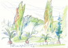 Cartoon: Berlin. Potsdam (small) by Kestutis tagged berlin potsdam germany deutschland nature garten botanischer lithuania kestutis sketch