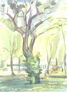 Cartoon: Bonn. Bad Godesberg. Trees (small) by Kestutis tagged bäume bonn germany deutschland watercolor tree kestutis siaulytis