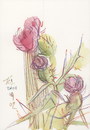 Cartoon: Fields flowers (small) by Kestutis tagged fields flowers sketch watercolor blumen nature summer kestutis siaulytis lithuania