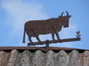 Cartoon: FRÜHLING. SPRING. PAVASARIS (small) by Kestutis tagged cow,kuh,village,nature,cattle,rind