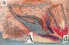 Cartoon: Letter from Atlantis (small) by Kestutis tagged letter,atlantis,dada,postcard,kestutis,lithuania