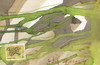 Cartoon: Natural selection. Mutations (small) by Kestutis tagged natural,selection,mutations,biology,dada,postcard,evolution,darwin,kestutis,lithuania