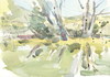 Cartoon: Nemunas River Delta (small) by Kestutis tagged watercolor sketch nature kestutis siaulytis lithuania aquarell