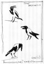 Cartoon: Observations by the park pool (small) by Kestutis tagged sketch nature kestutis lithuania