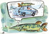 Cartoon: PIKE ADVENTURES (small) by Kestutis tagged winter,pike,adventures,fish,kestutis,lithuania,angler,car,snow,snowflakes