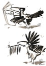 Cartoon: ROOK - VINETU WINNETOU (small) by Kestutis tagged philosophy,animals,nature,birds,rook,vinetu,winnetou,book,indian