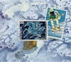 Cartoon: Sports stars (small) by Kestutis tagged dada,postcard,sport,star,winter,philately,kestutis,lithuania