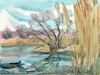 Cartoon: Spring near Vilnius (small) by Kestutis tagged watercolor spring art kunst vilnius kestutis lithuania