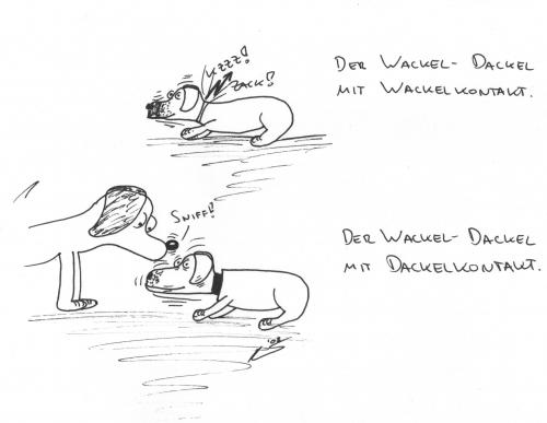 German words you need to know: Der Wackeldackel