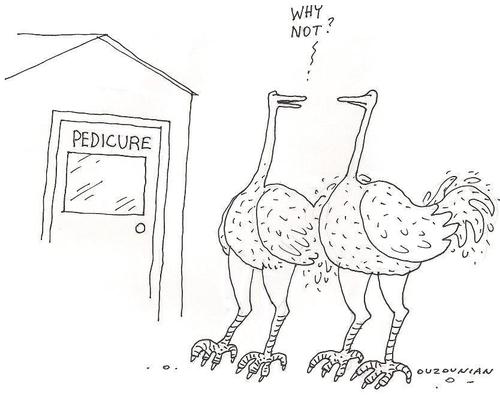 Cartoon: big pushy boids and stuff (medium) by ouzounian tagged birds,animals,pedicure,makeover,style,fashion