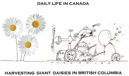 Cartoon: life in canada (medium) by ouzounian tagged harvest,daisies,canada,tractors,farmers