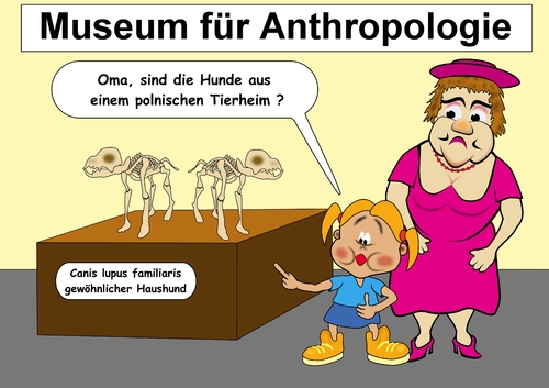 Cartoon: Herkunftsfrage (medium) by RiwiToons tagged hund,museum,skelett,tierquälerei,wissenschaft,ausstellung,kind,neugierig,neugierde,zeitung,nachrichten,zeitungsartikel,frage,polen,tierzucht,hundebaby