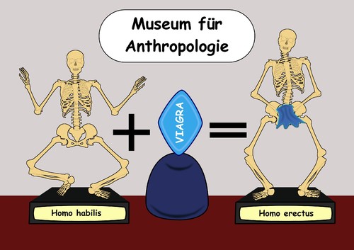 Cartoon: Menschheitsentwickluung (medium) by RiwiToons tagged habilis,sapien,homo,erectus,frühmensch,menschheitsgeschichte,entwicklung