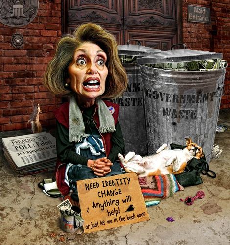 Image result for pelosi caricature