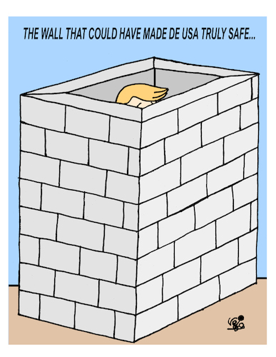 Cartoon: THE PERFECT WALL... (medium) by Vejo tagged trump,narcissist,dictator,fascist,usa,republicans,democracydangerous