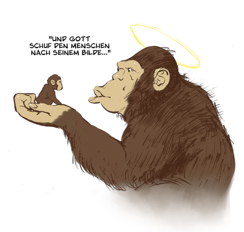 Cartoon: Creation (medium) by Arne S Reismueller tagged affe,evolution,schöpfung,darwin,gott,bibel,religion,tiere