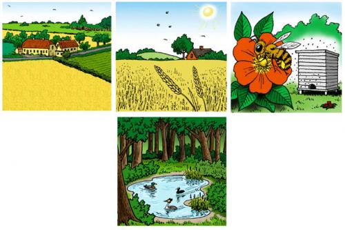 Cartoon: Summer (medium) by deleuran tagged summer,year,climate,seasons,sun,harvest,farming,bees,landscapes,