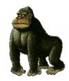 Cartoon: Gorilla (small) by deleuran tagged goilla,animals,children,drawings