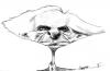 Cartoon: Bertrand Russell (small) by JAldeguer tagged caricature,bertrand,russell,pencil,drawing,art,portrait,caricatura,philosophy