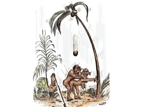 Cartoon: Ohne Worte (medium) by williS tagged palmen,strand,meer,kokosnuss